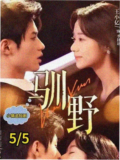 真探第四季剧集海报